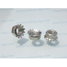 Stainless Steel Hex Kep Nut / Hex. Lock Nut, Passivated